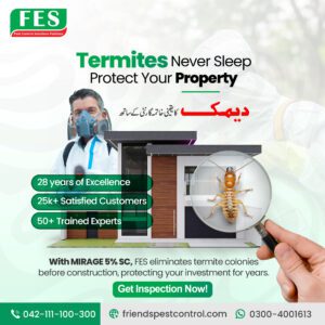 Termites Never Sleep — Protect Your Property with Professional Termite Control in Pakistan