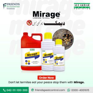 Don’t Let Termites Eat Your Space – Stop Them with MIRAGE by Friends Environmental Solutions