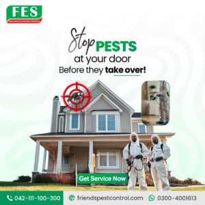 Stop Pests at Your Door Before They Take Over – Pest Control Solutions Pakistan