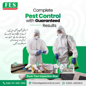 Complete Pest Control with Guaranteed Results — Pest Control Solution Pakistan (FES)