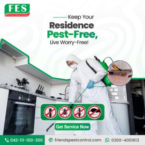 Keep Your Residence Pest-Free, Live Worry-Free — Pest Control Solutions Pakistan