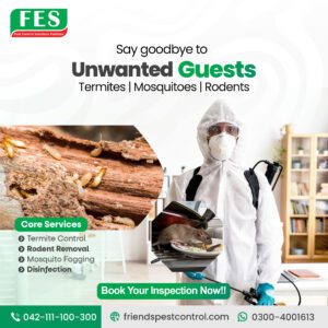Say Goodbye to Unwanted Guests with Professional Termite Control in Pakistan