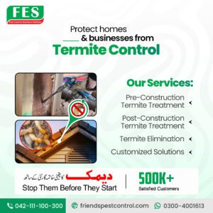 Protect Homes & Businesses from Termite Damage