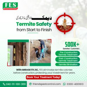 Termite Safety from Start to Finish with Expert Termite Control in Pakistan