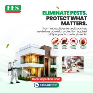 🛡️ Eliminate Pests. Protect What Matters.