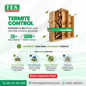 Pakistan’s No.1 Pest & Termite Control Services