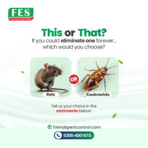 🤔 This or That? Which Pest Would You Eliminate Forever?