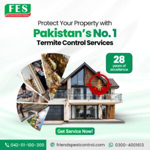 🛡️ Pakistan’s No.1 Termite Control Services – Protecting Properties with 28 Years of Excellence