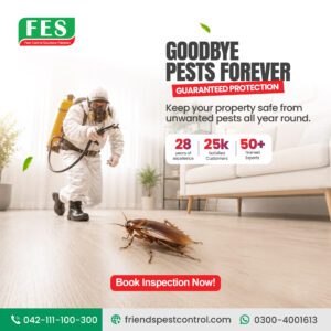 🛡️ Goodbye Pests Forever – Trusted Pest Control Solutions for Complete Protection