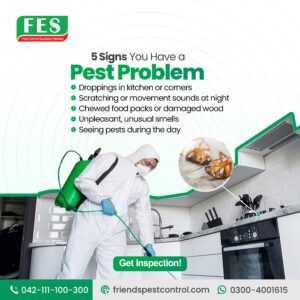 🛑 Five Signs You Have a Pest Problem