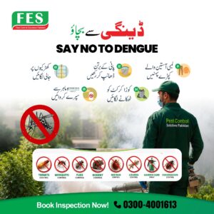 🦟 Dengue Ko Kaho No! Protect Your Home from Seasonal Pests