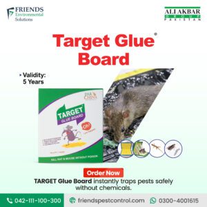 🪤 Target Glue Board – Chemical-Free Solution for Rodent and Pest Control