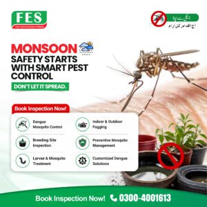🌧️ Monsoon Safety Starts with Smart Pest Control