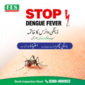 🦟🚫 Stop Dengue Fever – Protect Your Family from Mosquitoes