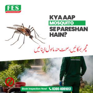 🦟 Kya Aap Mosquito Se Pareshan Hain? 🏠