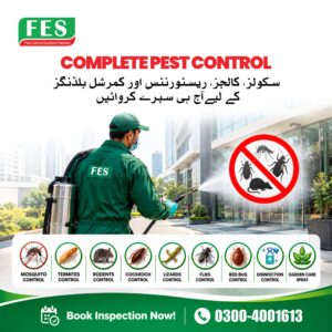 🛡️ Complete Pest Control Solutions in Pakistan 🏠