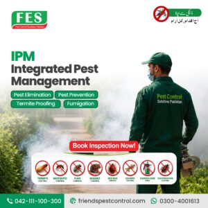 🌿 Integrated Pest Management – Termite Control in Pakistan